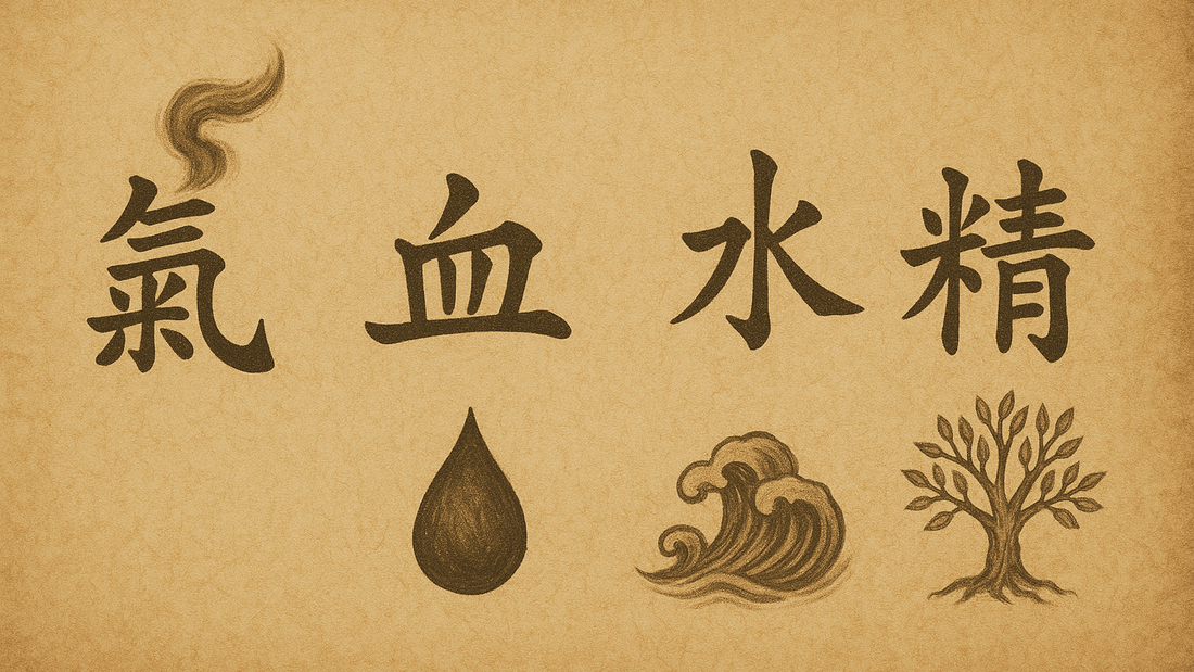 気血水精