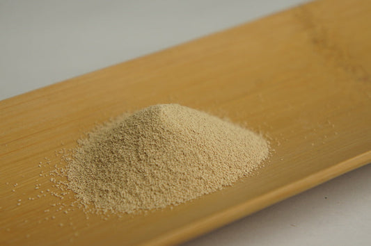 茯苓飲(ぶくりょういん)【初回限定】