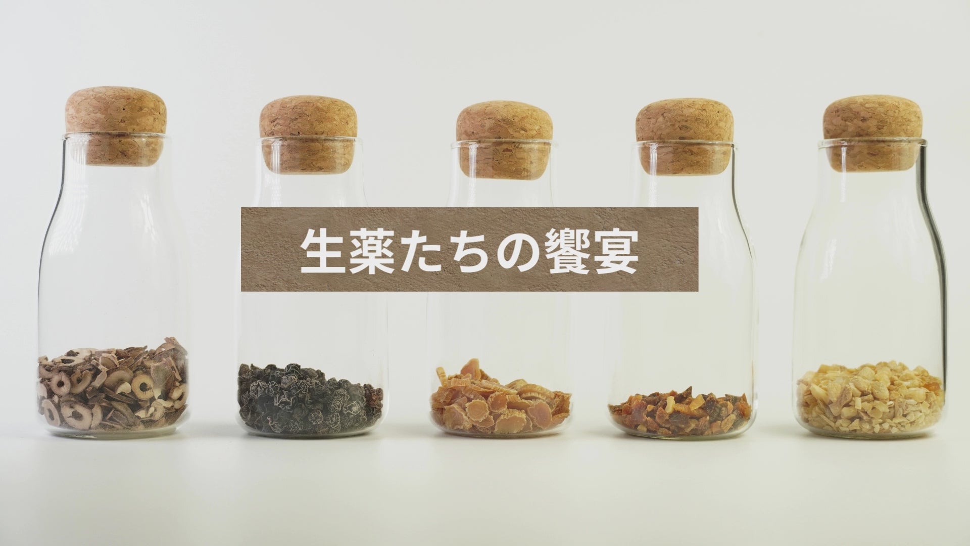 動画を読み込む: 